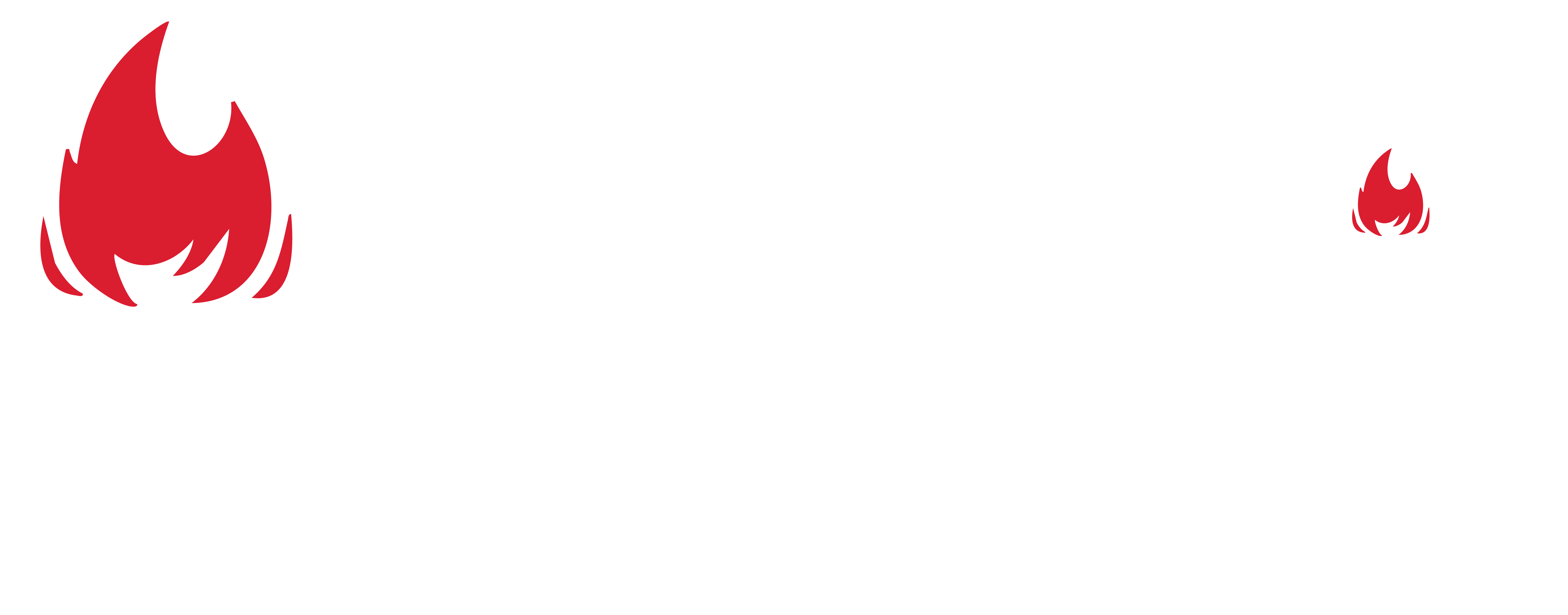 Lamb biryani served with aromatic rice